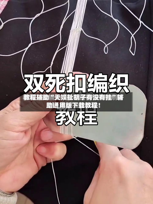 教程辅助“天娱扯胡子有没有挂”辅助通用版下载教程！-第1张图片