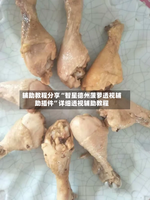 辅助教程分享“智星德州菠萝透视辅助插件	”详细透视辅助教程-第1张图片
