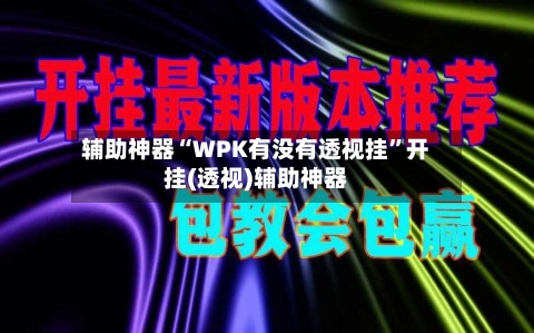 辅助神器“WPK有没有透视挂”开挂(透视)辅助神器-第1张图片