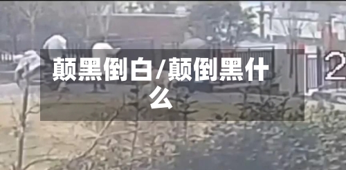 颠黑倒白/颠倒黑什么-第1张图片