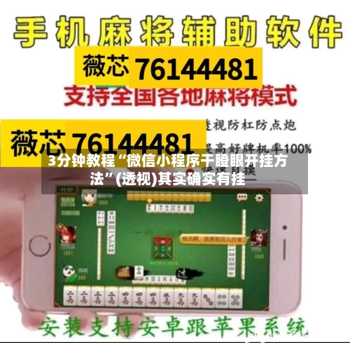 3分钟教程“微信小程序干瞪眼开挂方法”(透视)其实确实有挂-第1张图片