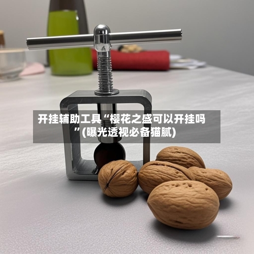 开挂辅助工具“樱花之盛可以开挂吗”(曝光透视必备猫腻)-第1张图片