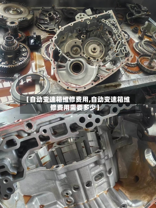 【自动变速箱维修费用,自动变速箱维修费用需要多少】-第1张图片