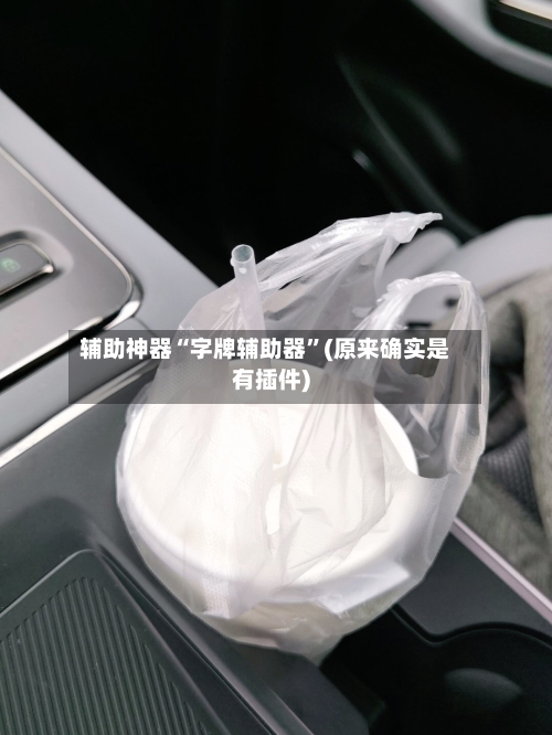 辅助神器“字牌辅助器	”(原来确实是有插件)-第1张图片