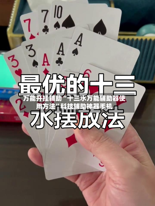 万能开挂辅助“十三水万能辅助器使用方法	”科技辅助神器手机-第1张图片