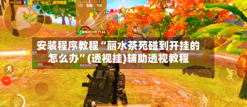 安装程序教程“丽水茶苑碰到开挂的怎么办	”(透视挂)辅助透视教程-第1张图片