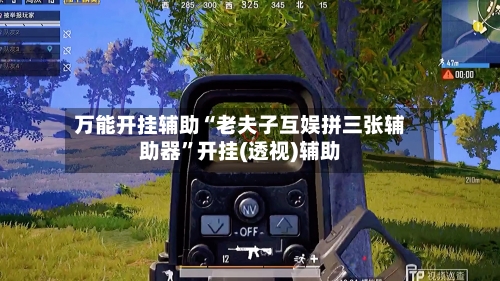 万能开挂辅助“老夫子互娱拼三张辅助器”开挂(透视)辅助-第1张图片
