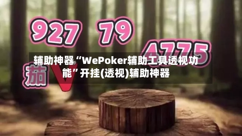 辅助神器“WePoker辅助工具透视功能	”开挂(透视)辅助神器-第1张图片