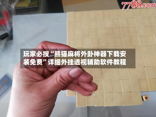玩家必搜“熊猫麻将外卦神器下载安装免费”详细外挂透视辅助软件教程-第1张图片