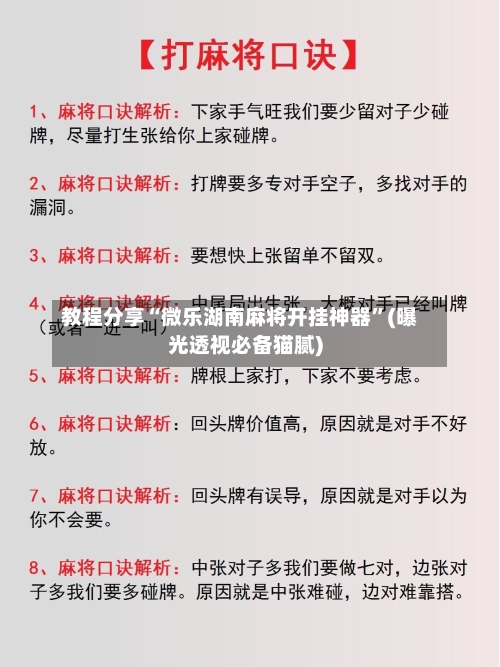 教程分享“微乐湖南麻将开挂神器”(曝光透视必备猫腻)-第1张图片