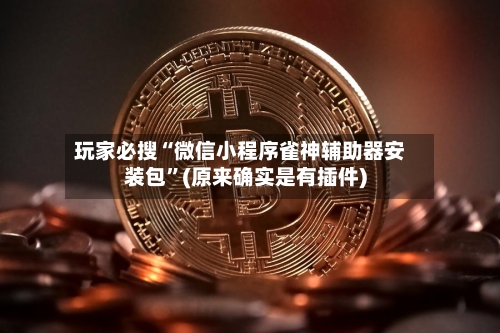 玩家必搜“微信小程序雀神辅助器安装包	”(原来确实是有插件)-第1张图片