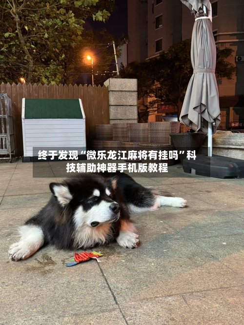 终于发现“微乐龙江麻将有挂吗”科技辅助神器手机版教程-第1张图片