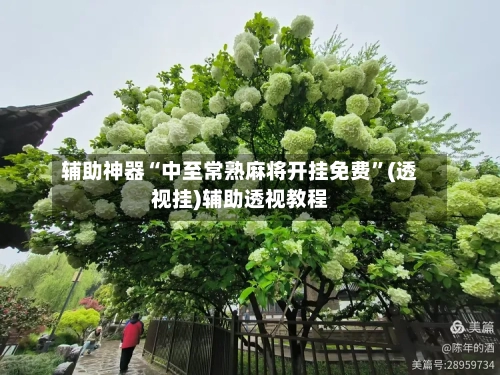辅助神器“中至常熟麻将开挂免费	”(透视挂)辅助透视教程-第1张图片
