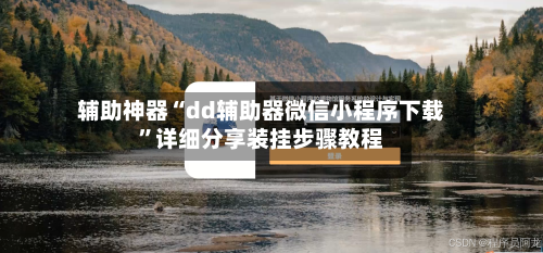 辅助神器“dd辅助器微信小程序下载	”详细分享装挂步骤教程-第1张图片