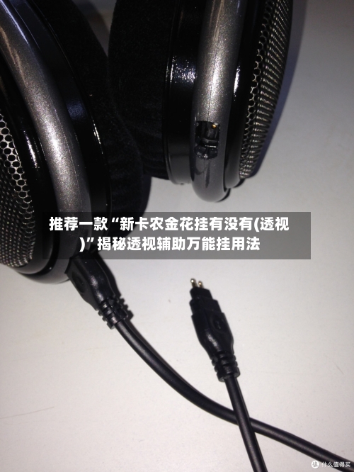 推荐一款“新卡农金花挂有没有(透视)	”揭秘透视辅助万能挂用法-第1张图片