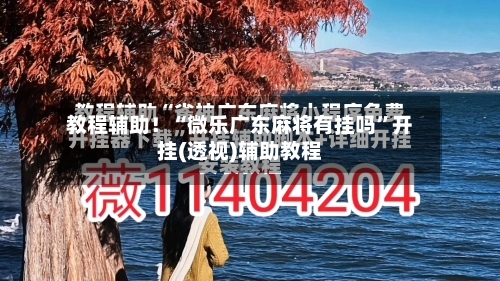 教程辅助！“微乐广东麻将有挂吗	”开挂(透视)辅助教程-第1张图片