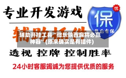 辅助开挂工具“微乐陕西麻将必赢神器	”(原来确实是有插件)-第1张图片
