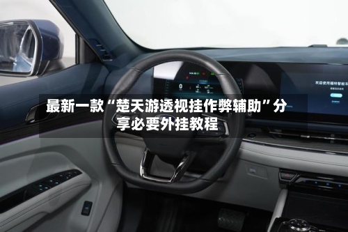 最新一款“楚天游透视挂作弊辅助”分享必要外挂教程-第1张图片