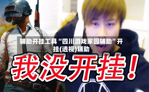 辅助开挂工具“四川游戏家园辅助”开挂(透视)辅助-第1张图片