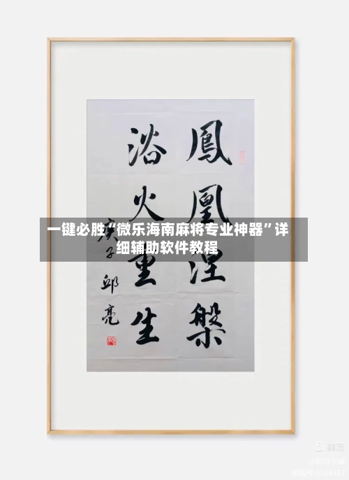 一键必胜“微乐海南麻将专业神器	”详细辅助软件教程-第1张图片
