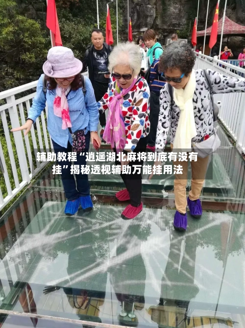 辅助教程“逍遥湖北麻将到底有没有挂”揭秘透视辅助万能挂用法-第1张图片