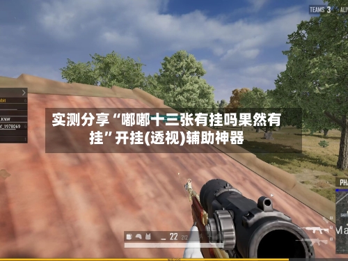 实测分享“嘟嘟十三张有挂吗果然有挂	”开挂(透视)辅助神器-第1张图片