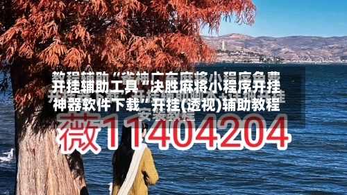 开挂辅助工具“决胜麻将小程序开挂神器软件下载”开挂(透视)辅助教程-第1张图片