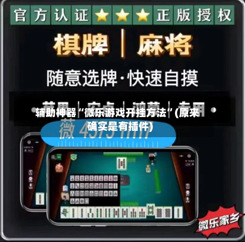 辅助神器“微乐游戏开挂方法	”(原来确实是有插件)-第1张图片