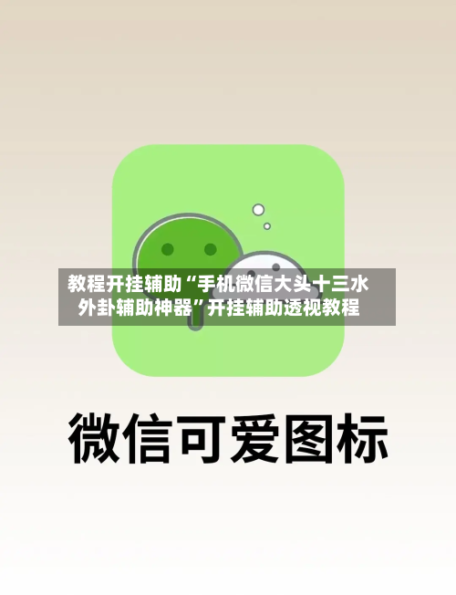 教程开挂辅助“手机微信大头十三水外卦辅助神器	”开挂辅助透视教程-第1张图片