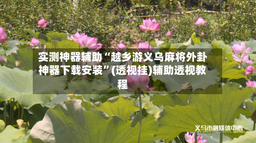 实测神器辅助“越乡游义乌麻将外卦神器下载安装”(透视挂)辅助透视教程-第1张图片