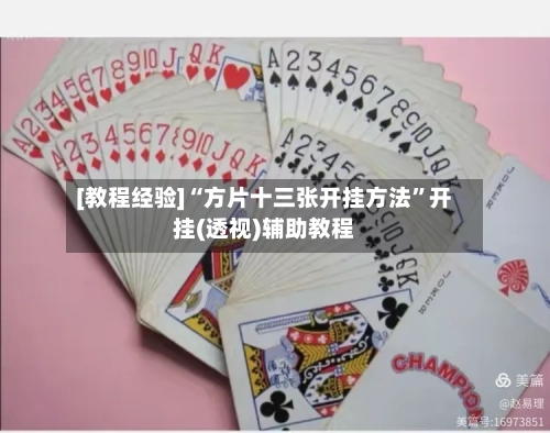 [教程经验]“方片十三张开挂方法”开挂(透视)辅助教程-第1张图片