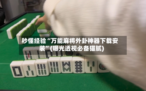 秒懂经验“万能麻将外卦神器下载安装”(曝光透视必备猫腻)-第1张图片