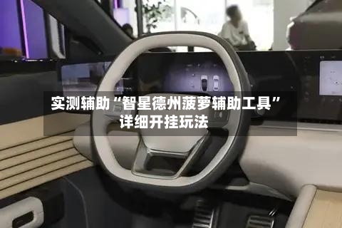 实测辅助“智星德州菠萝辅助工具”详细开挂玩法-第1张图片