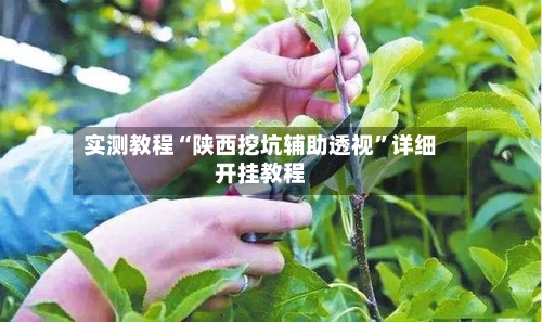 实测教程“陕西挖坑辅助透视”详细开挂教程-第1张图片