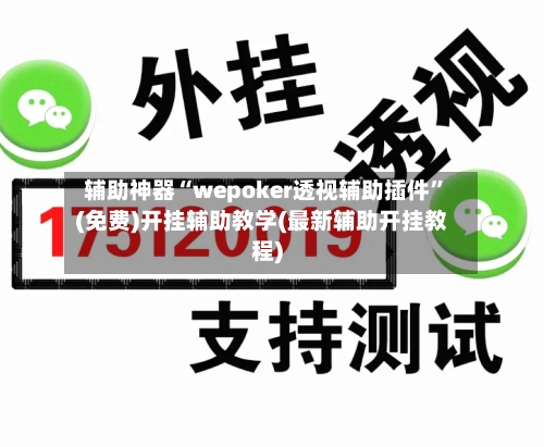 辅助神器“wepoker透视辅助插件”(免费)开挂辅助教学(最新辅助开挂教程)-第1张图片
