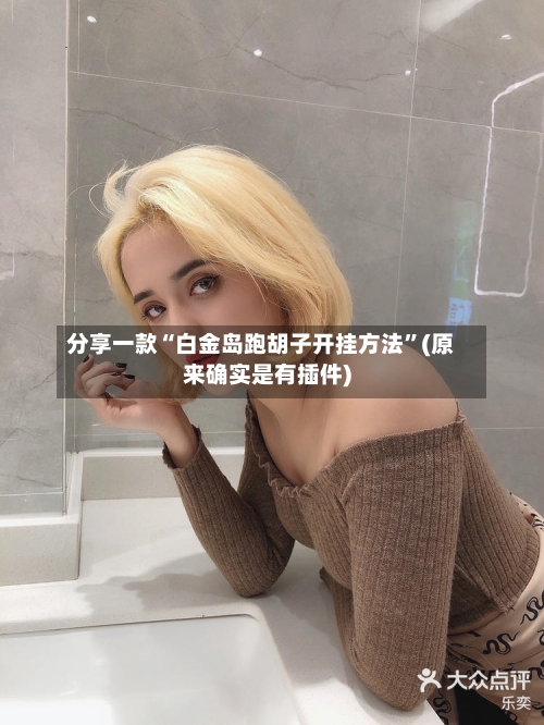 分享一款“白金岛跑胡子开挂方法”(原来确实是有插件)-第1张图片