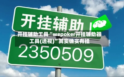 开挂辅助工具“wepoker开挂辅助器工具(透视)	”其实确实有挂-第1张图片
