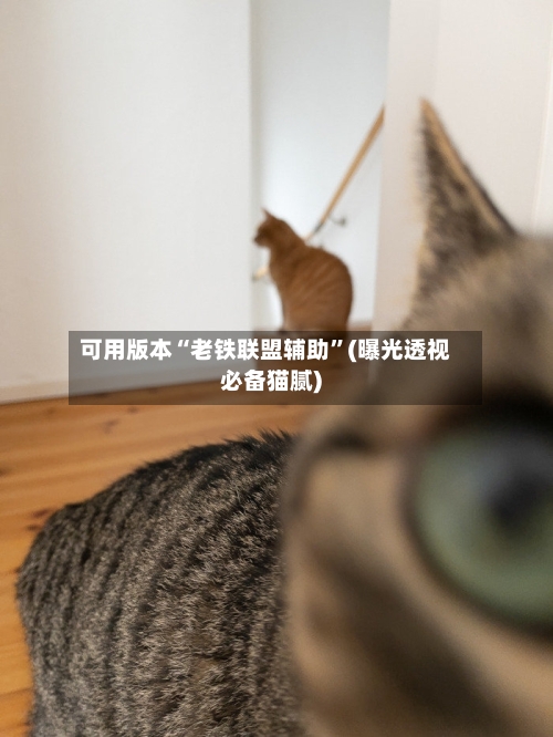 可用版本“老铁联盟辅助	”(曝光透视必备猫腻)-第1张图片