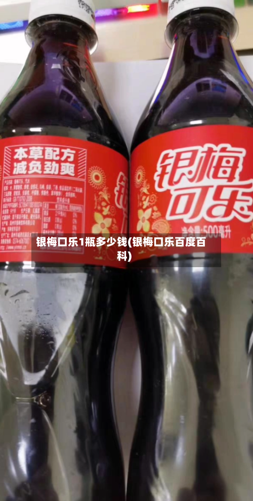 银梅口乐1瓶多少钱(银梅口乐百度百科)-第1张图片