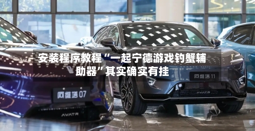 安装程序教程“一起宁德游戏钓蟹辅助器”其实确实有挂-第1张图片