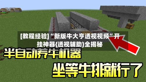 [教程经验]“新版牛大亨透视视频”开挂神器{透视辅助}全揭秘-第1张图片