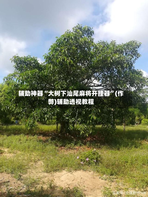 辅助神器“大树下汕尾麻将开挂器	”(作弊)辅助透视教程-第1张图片