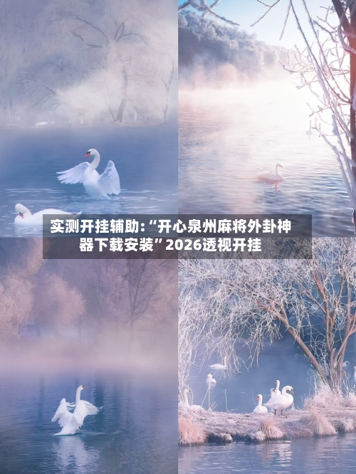 实测开挂辅助:“开心泉州麻将外卦神器下载安装”2026透视开挂-第1张图片
