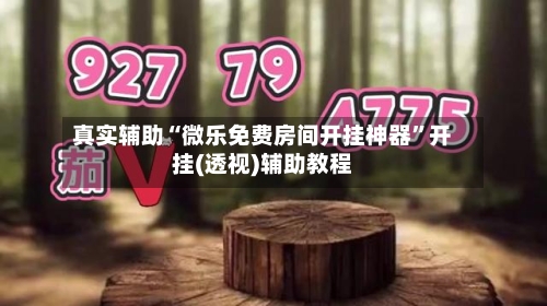真实辅助“微乐免费房间开挂神器	”开挂(透视)辅助教程-第1张图片