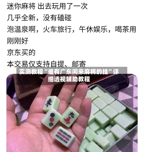 实测教程“谁有广东闲来麻将的挂	”详细透视辅助教程-第1张图片