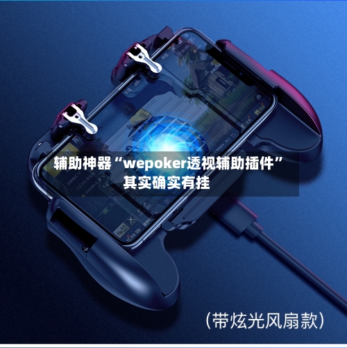 辅助神器“wepoker透视辅助插件	”其实确实有挂-第1张图片