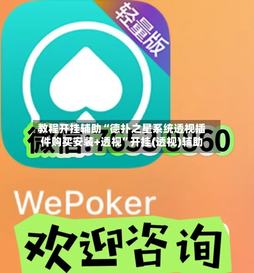 教程开挂辅助“德扑之星系统透视插件购买安装+透视”开挂(透视)辅助-第1张图片