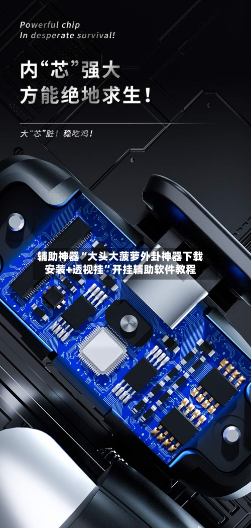辅助神器“大头大菠萝外卦神器下载安装+透视挂”开挂辅助软件教程-第1张图片