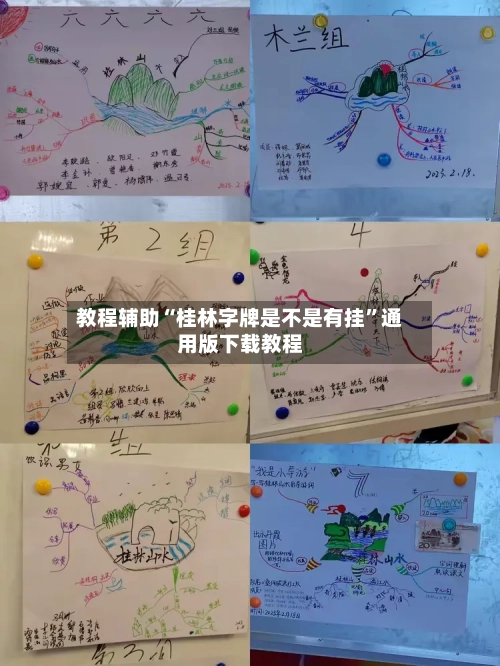 教程辅助“桂林字牌是不是有挂”通用版下载教程-第1张图片