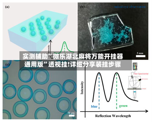 实测辅助	”微乐湖北麻将万能开挂器通用版”透视挂!详细分享装挂步骤-第1张图片